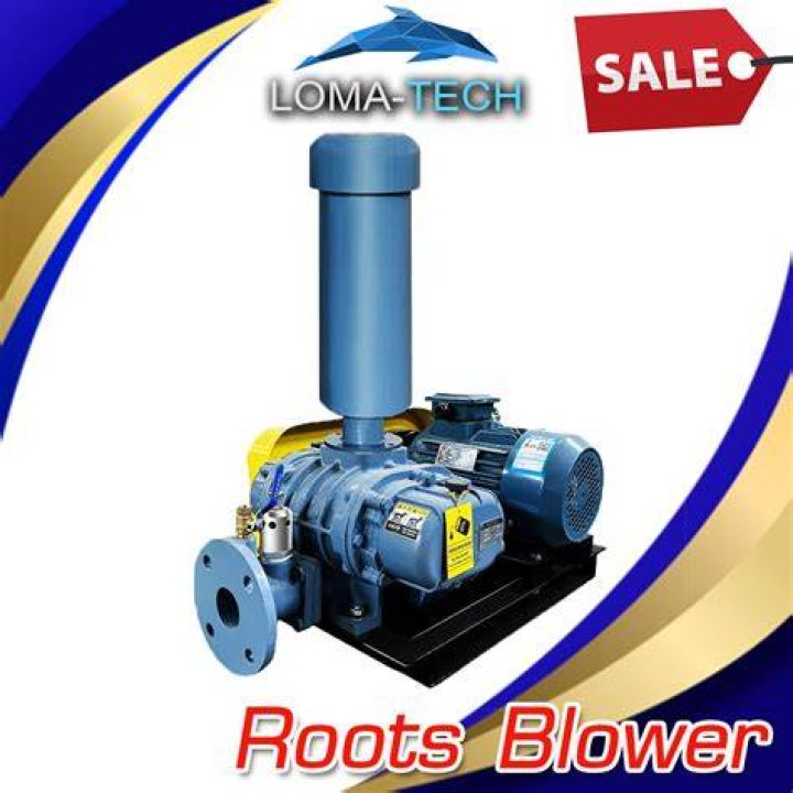 About The Blower Shop Roots Style Superchargers Roots Style Blower
