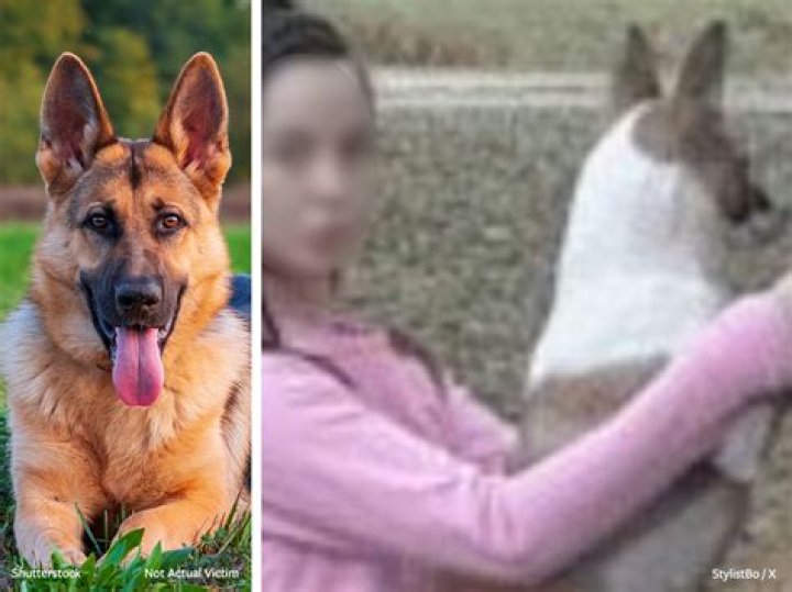Denise Frazier Dog Video Mississippi Woman Who Allegedly Had Sex With