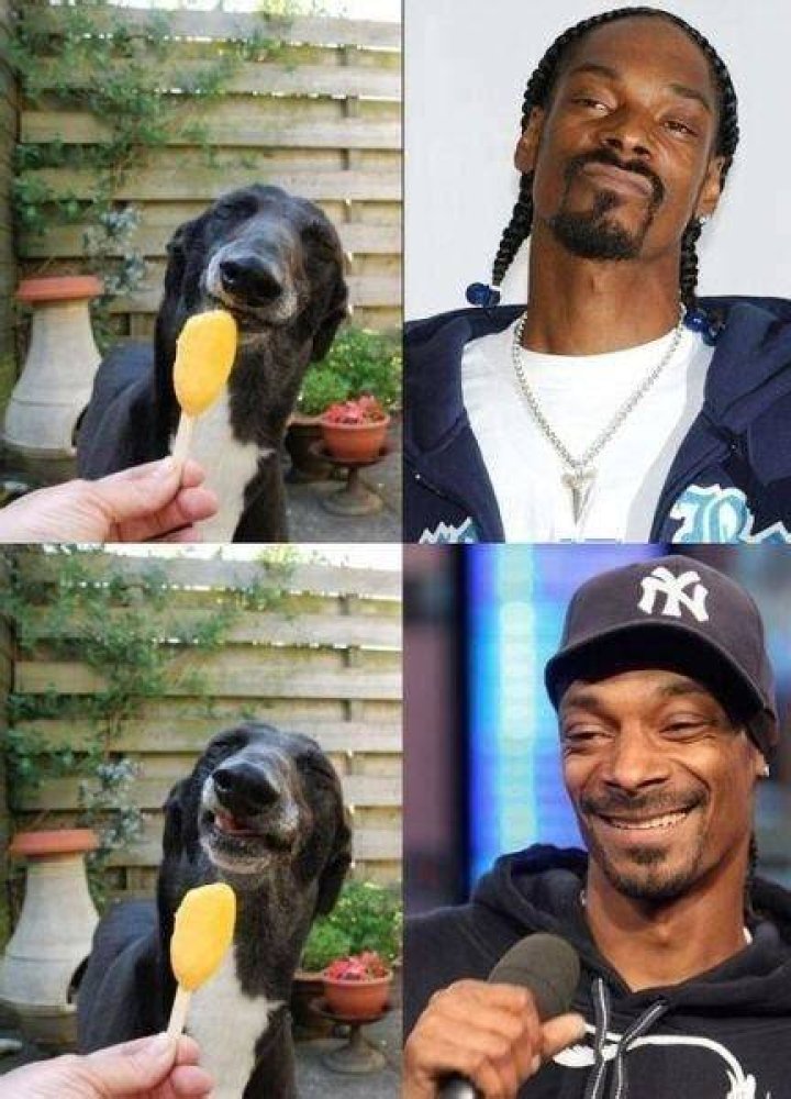 Snoop Dogg Narrating Animal Footage Is Perfect Entertainment Tonight