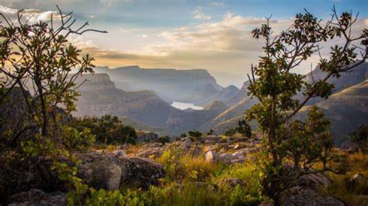 South African South African